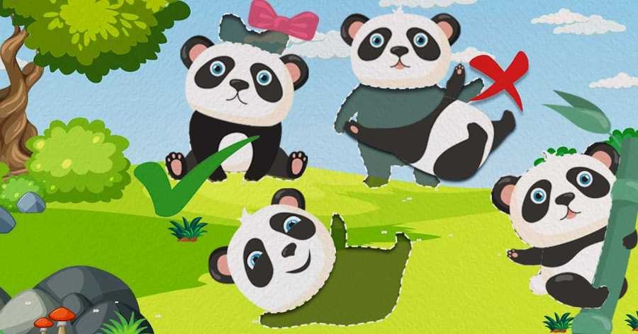 Athletic Panda Puzzle Party